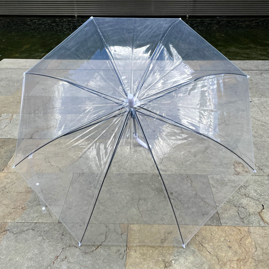 TRANSPARENTE