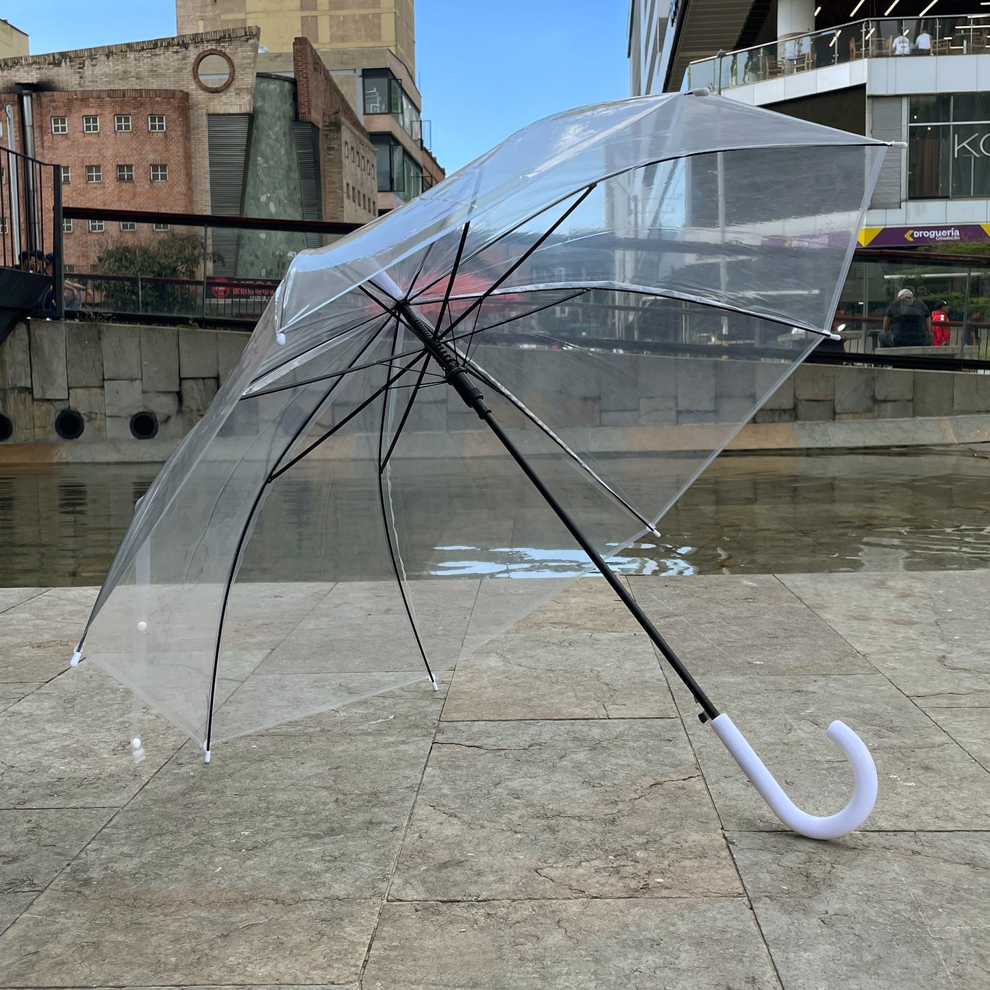 TRANSPARENTE